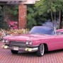 Tempestafeliciaga - Mollys Car
