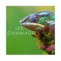 Isaac Marcic - IZE : CHAMXON