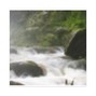 j david croy - right view