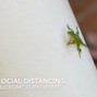JeromeStrikeBeats - SOCIAL DISTANCING