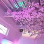 jNimo_ - today