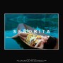 Styles Beatz - Senorita