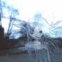 tores - tores - static 176bpm 453hz