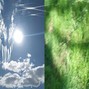 michaelwarren - new life
