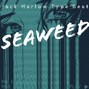 HollywoodFloss - SEAWEED (QUAVO x JACK HARLOW)