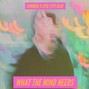 HollywoodFloss - WHAT THE MIND NEEDS