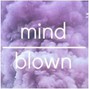 OG Bricks - Mind Blown