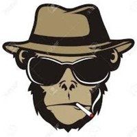 Stealth Gibbon