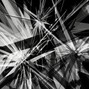 James Gorczyca - pl_nod