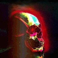 FATAL EXIT