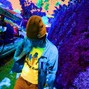 WheresKey - The Waters