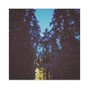 jasperino - lowland