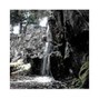 jasperino - for you