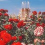 AC!D - AĆID SAMPLE PACK