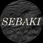 Sebaki - Dark Matter