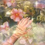 Gino Furbo - Ambience