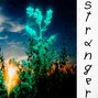 KadiDuzIt - Stranger