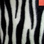 brandon  - Fairytale