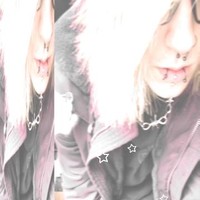 willow.x