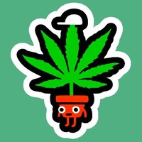High Head