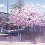kuboi - blossom