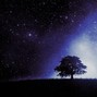 kuboi - sky gazing