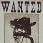 SHEYD - WANTED