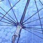 FLATPEARL - RAINFLOWERING