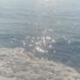 Moshee - ocean