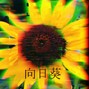 dsktkg - Sunflower
