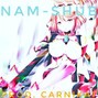 CarniKat - NamShub