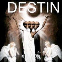 D E S T I N