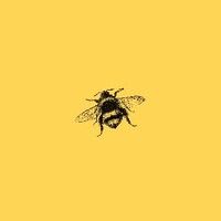 honeybee
