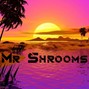 Mr Shrooms - More Vibes - Major Lazer /Afrobeat
