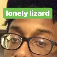 Reptile The Lizard