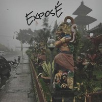Exposé