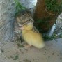 tomiijjeans - unnamed_img_