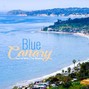 Jando - Jando - Blue Canary (100BPM)