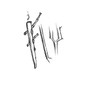 i44th - Fly young