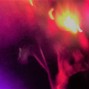 D.U. - No Filter