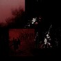 shy - isolation