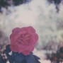 Natour - Pretty Lies