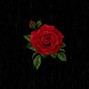 Darko Beats - Roses