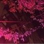 Jetsun - Tongues