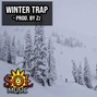 Zz - Winter Trap 