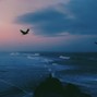 N_OVA - Tides Turn
