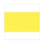 jared brooks.  - sky yellow