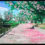 Noshi - Noshi - Childhood