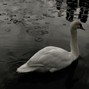 lulcamerin0 - calm