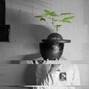 pott hedd - trappin in japan